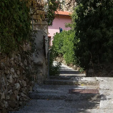 Casa Klaus, Olivenbaeume An Der Ligurischen Riviera Appartamento *